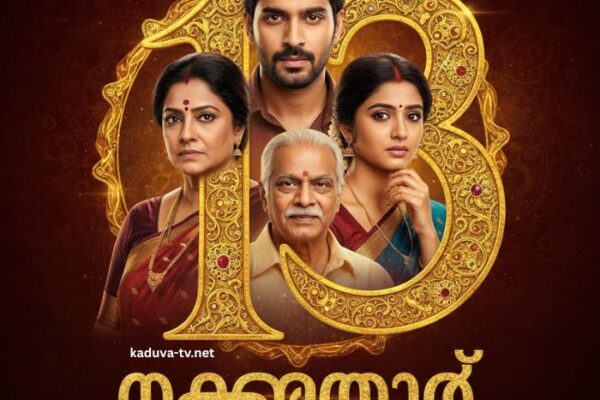 പത്തരമാറ്റ് 13 December